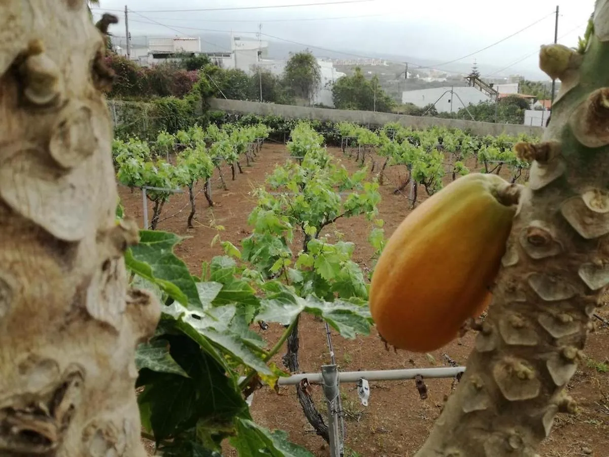 Chalet Cosy Chalet: Panoramic Views in Icod De Los Vinos Spain